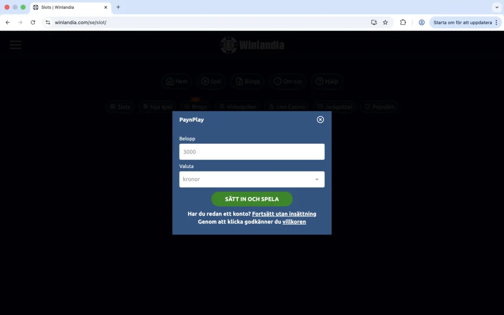 Skärmdump på "gör insättning" hos Winlandia