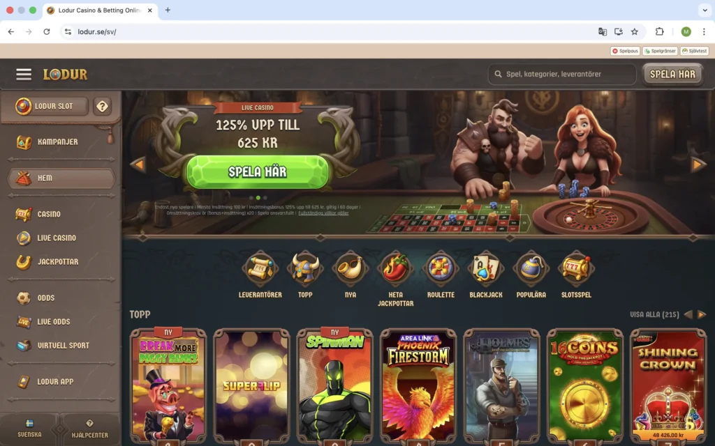 Skärmdump på Lodur förstasida